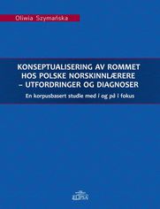 Konseptualisering av rommet hos polske norskinnlrere - utfordringer og diagnoser