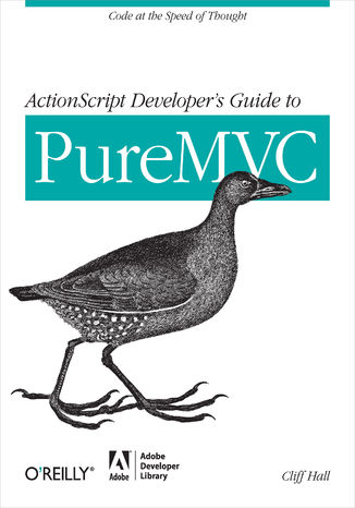 ActionScript Developer\