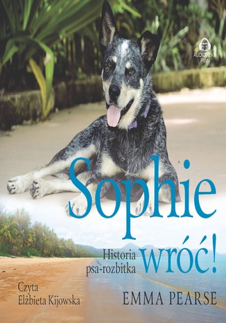 Sophie wróć! Historia psa-rozbitka