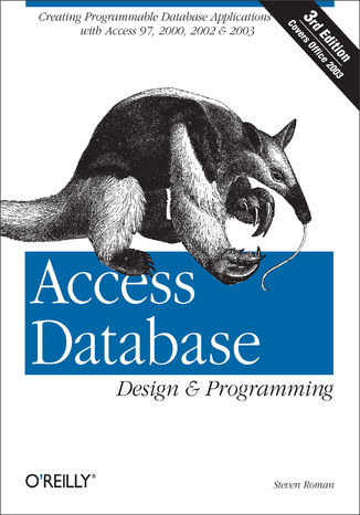 Access Database Design & Programming. 3rd Edition